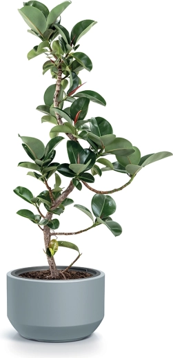 Licht maar duurzaam materiaal