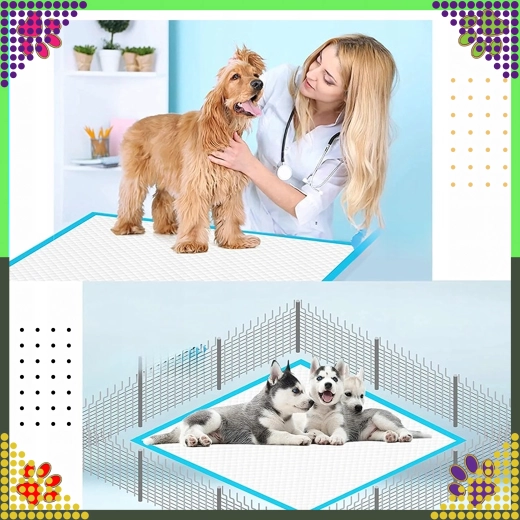 Hygiëne bij training en verzorging