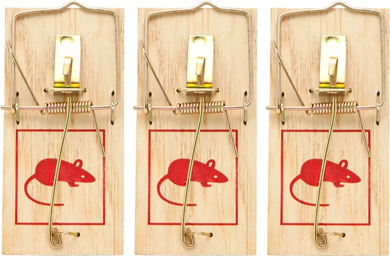 Set houten muizenvallen, 3 stuks