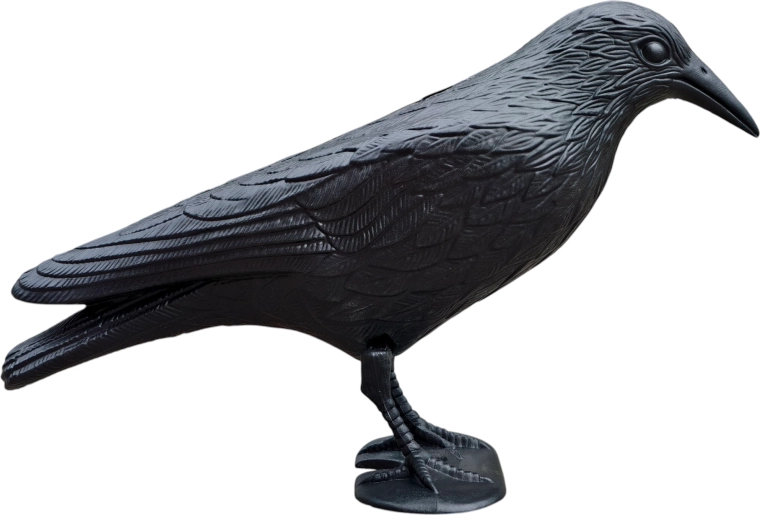 Licht en duurzaam ontwerp