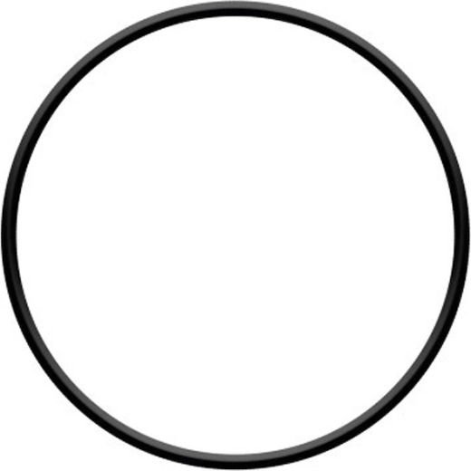 O-ring voor de filterkop ProStar 4 en ProStar 6