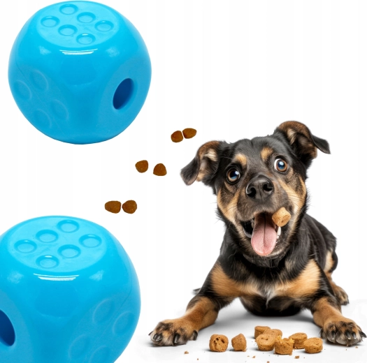 Plezier en training in één