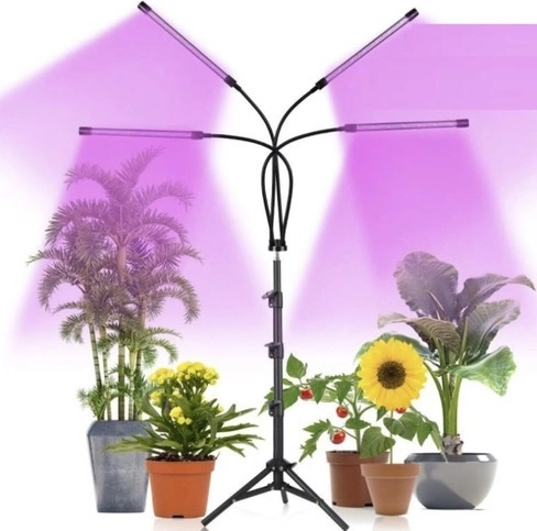 Rode en blauwe LED ter ondersteuning van fotosynthese