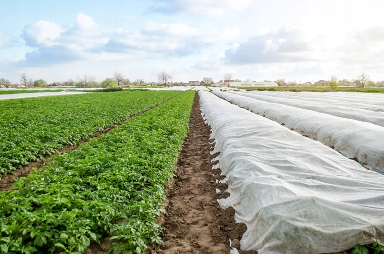 Betrouwbare bescherming tegen voorjaarsvorst