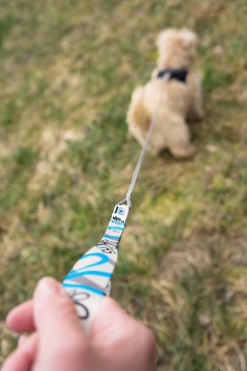 Duurzame roestvrijstalen karabiner