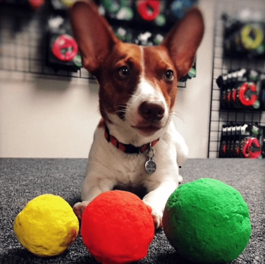 Plezier thuis, buiten en in het water