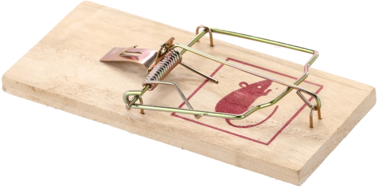 Duurzame houten basis