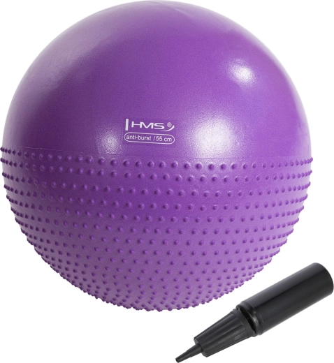 Massage-gymbal HMS YB03N 55 cm paars