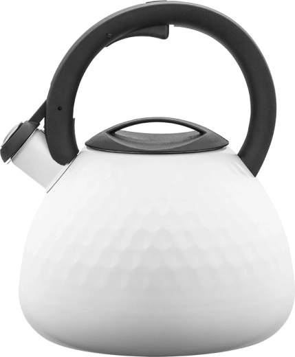 Roestvrijstalen fluitketel Logan 2,7 l