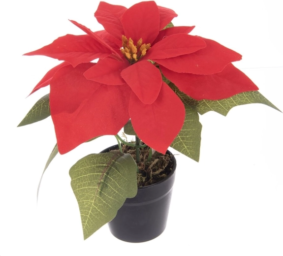 Kunstmatige kerstster (poinsettia) in bloempot, rood 19 cm