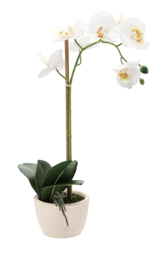 Stabiele en elegante pot