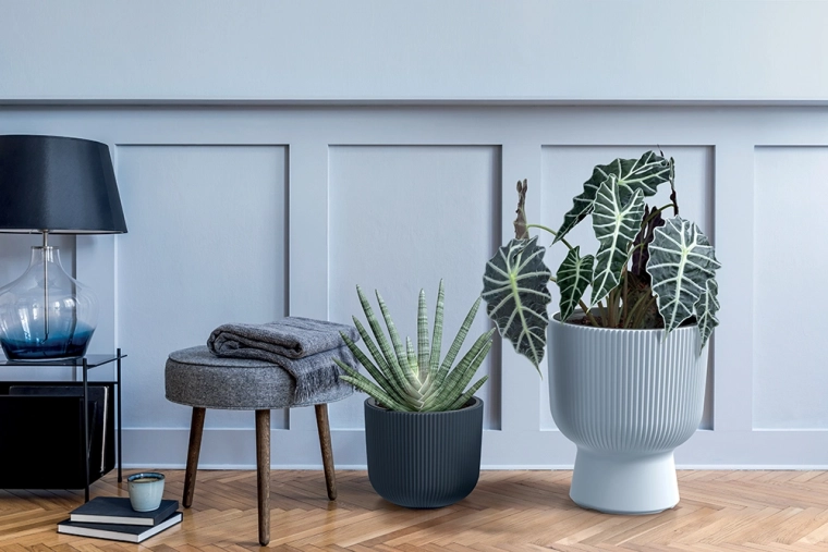 Stijlvol geribbeld design