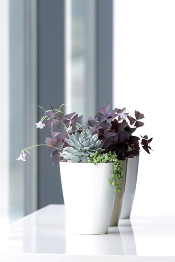 Stijlvolle accessoire voor interieur en balkon