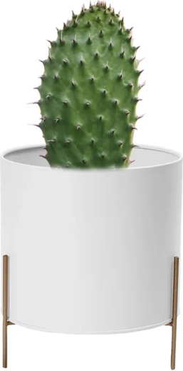 Witte metalen bloempotcover met gouden voet 17 cm