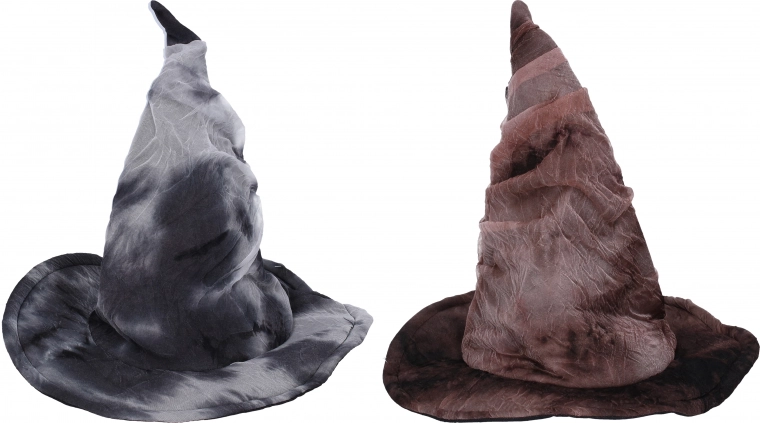 Carnavals Tovenaars-/Heksenhoed