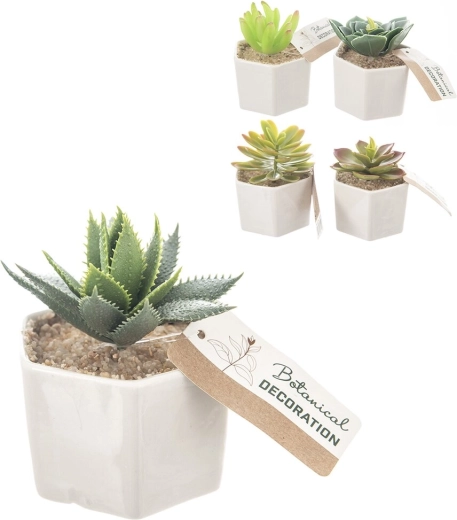 Decoratieve plant in keramische bloempot 6 × 6 × 10 cm (5 varianten)