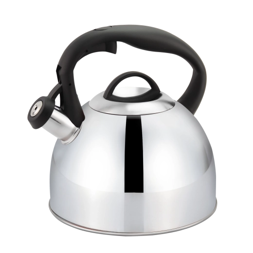 RVS fluitketel SANNY 3 l met fluit