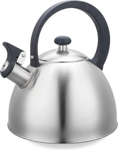 RVS fluitketel 2,5 l met fluit MAESTRO