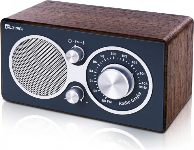 CZAJKA radio bluetooth, grijs hout