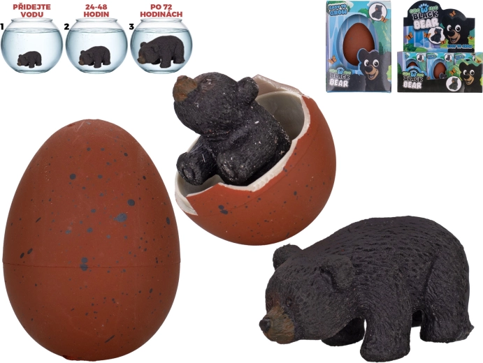 Uitkomende en groeiende zwarte beer – interactief waterei