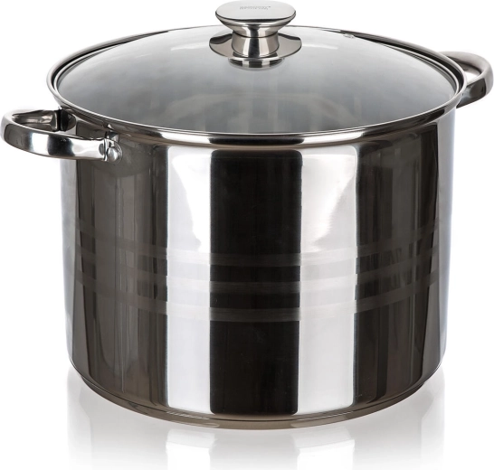 RVS pan 30 cm met glazen deksel 16,2 l LIVING