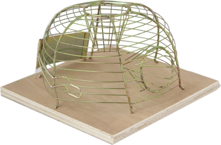 Levend vangende muizenval 14 × 14 cm