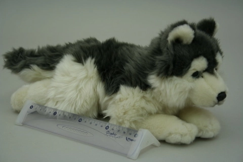 Pluchen husky 35 cm
