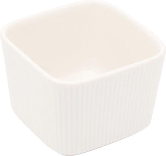Regular vierkante serveerschaal 160 ml