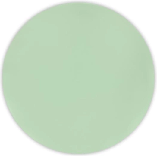 Decorata plastic borden 20 cm lichtgroen, set van 2 stuks