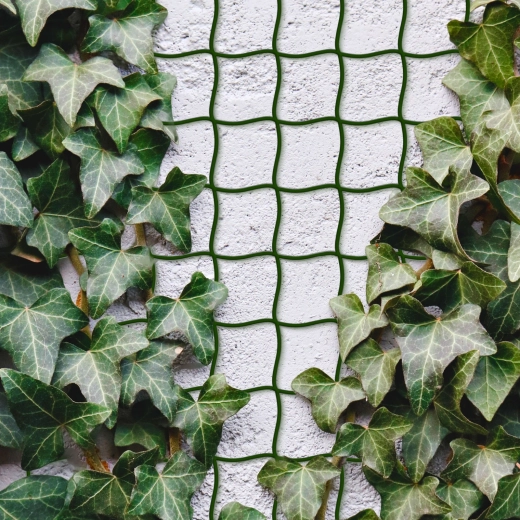 Net voor klimplanten 5 m x 50 cm, op maat te knippen, donkergroen