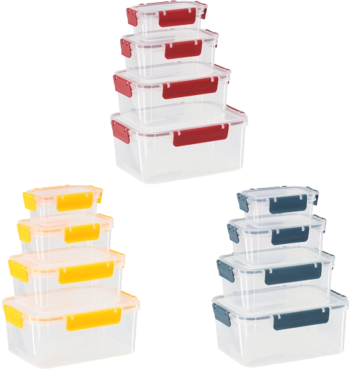 Set voedselbewaarbakjes met deksel en afdichting Orion - 4 stuks