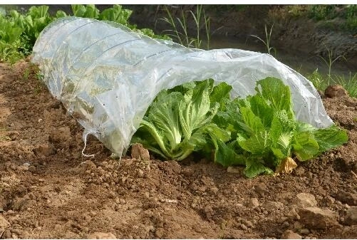 Tuinkas-folietunnel 300 × 65 × 45 cm