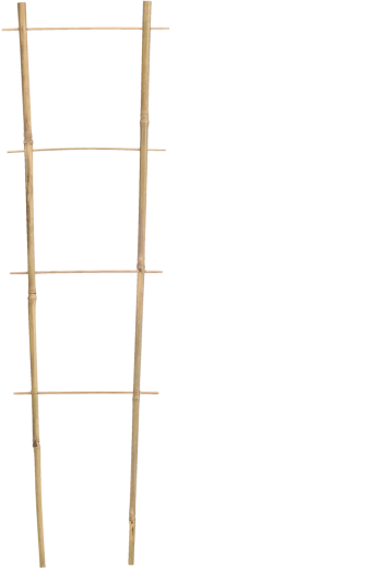 Bamboe steunladders voor planten 150 cm