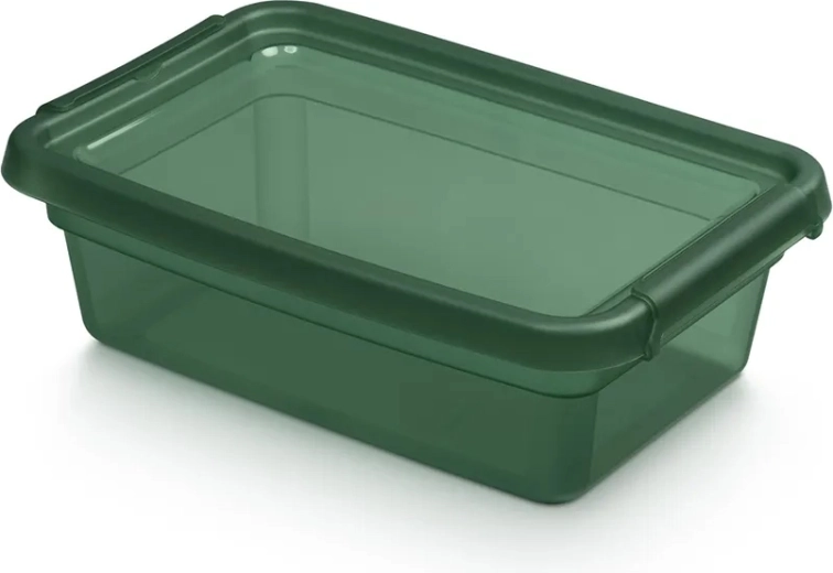 BASESTORE opbergbox van kunststof met deksel en clips 3 l pine