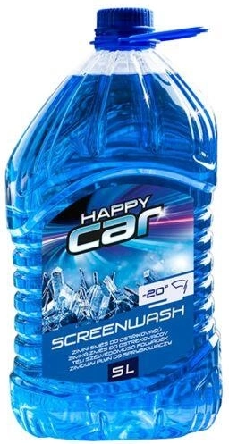 Winterruitensproeiervloeistof -20 °C, 5 l