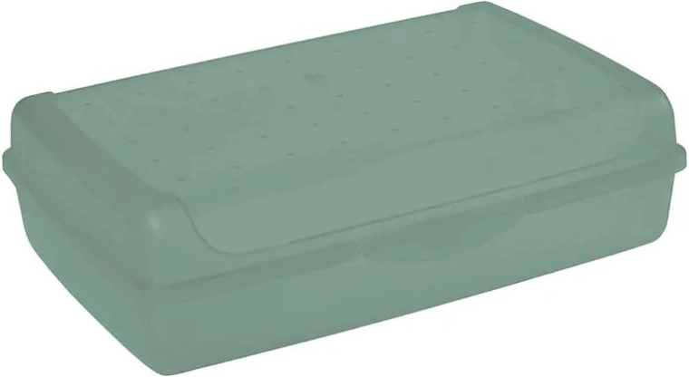 Luca click box maxi opbergbox met deksel 3,7 l groen