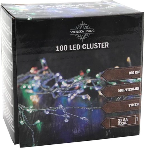 Lichtslinger met timer, 100 LED, cluster 100 cm