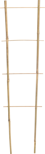 Dubbele bamboe steun voor klimplanten 45 cm