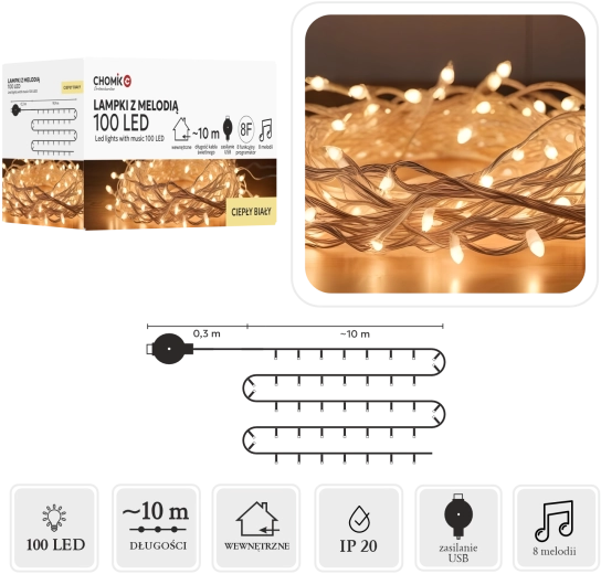 LED-lichtsnoer met melodie USB, warm wit, 100 diodes, 10 m