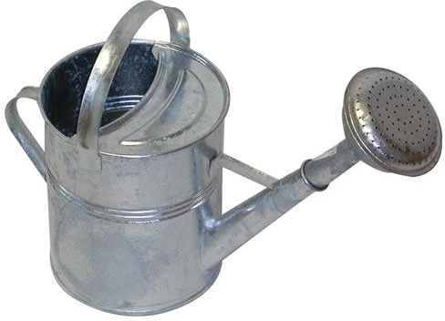 Gegalvaniseerde tuin-gieter 5 l met broes