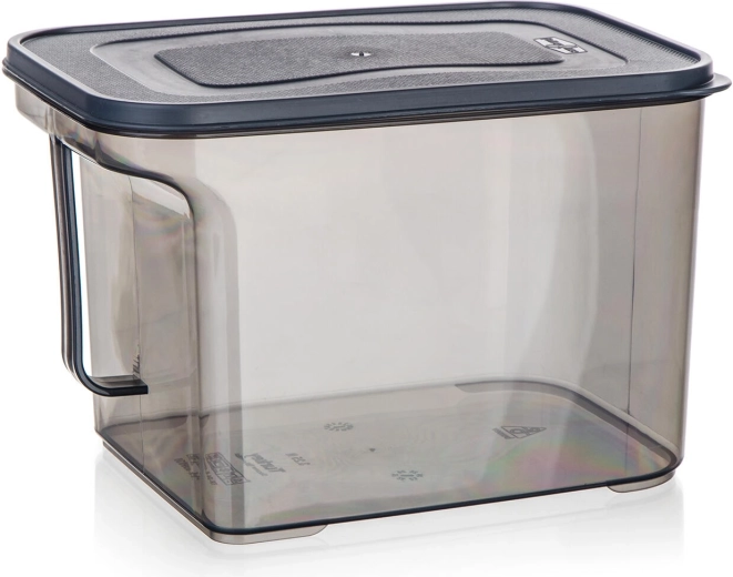 Plastic bewaardoos met handvat 3,25 l Zoya