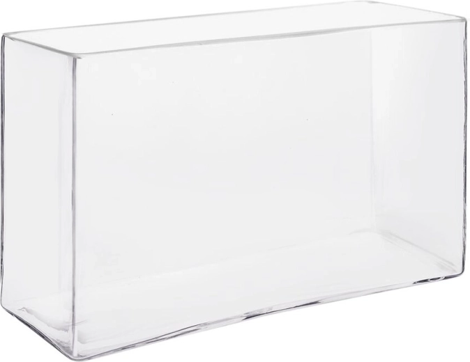 Heldere glazen vaas 24,5 × 8 × 15,5 cm