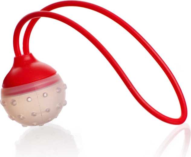 Siliconen thee- en kruidenezeef CULINARIA, 5 × 22 cm, rood