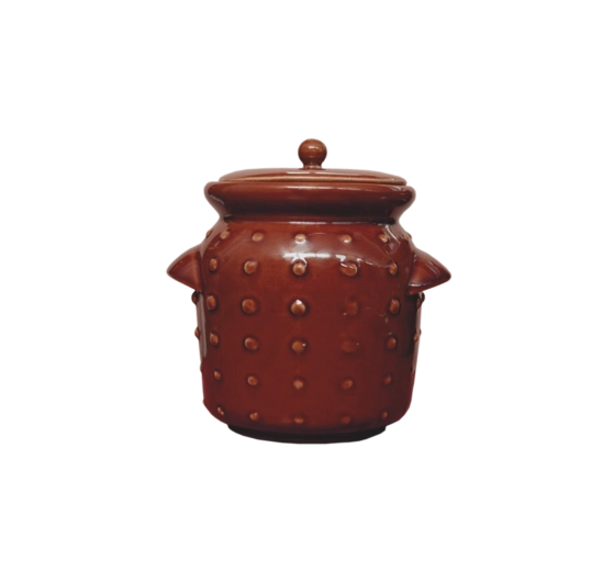 Keramische hermetisch afsluitende pot 2,5 l met deksel