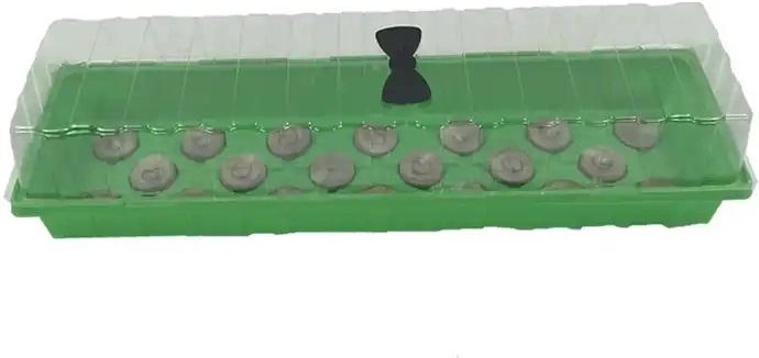 Kunststof kweekbak met deksel 57,5 × 17 × 13,5 cm