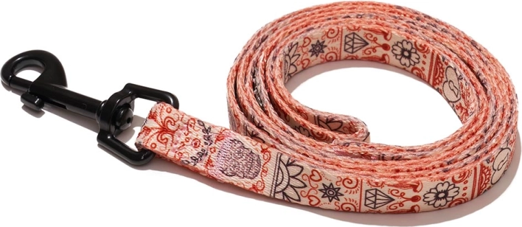 Explorer Dog hondenriem hartjes S 120 × 1,5 cm