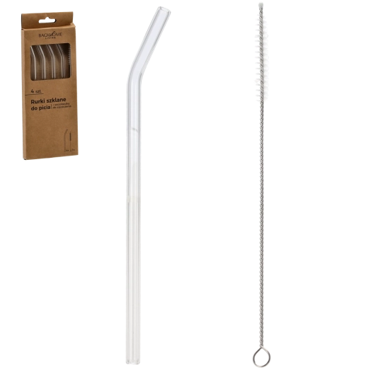 EXTRALINK glazen rietjes met borsteltje – set van 4 stuks