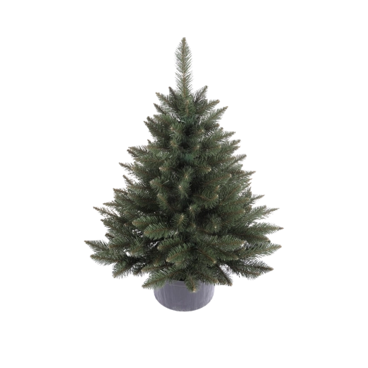 Levende kerstboom (spar) in pot ca. 0,8 m