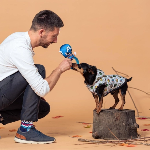 Winterjasje voor hond Avengers maat XS