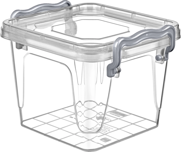Voedselcontainer Multi Box 0,55 l met klemmen